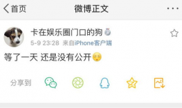 吃瓜爆料在哪里找到的,吃瓜爆料背后的信息来源